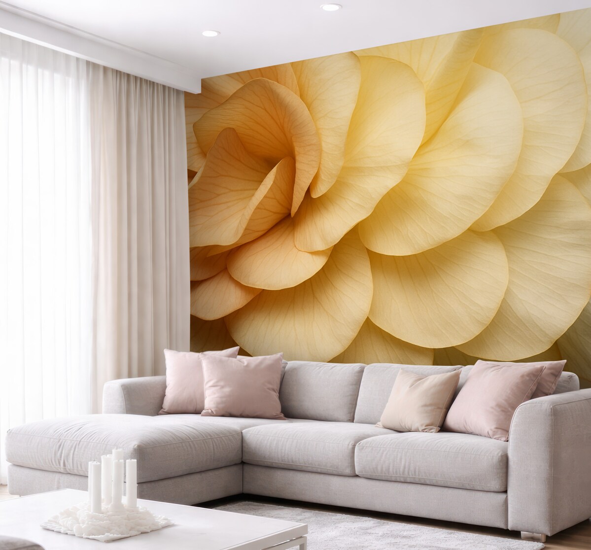 Fototapeta Płatki kwiatów maku.