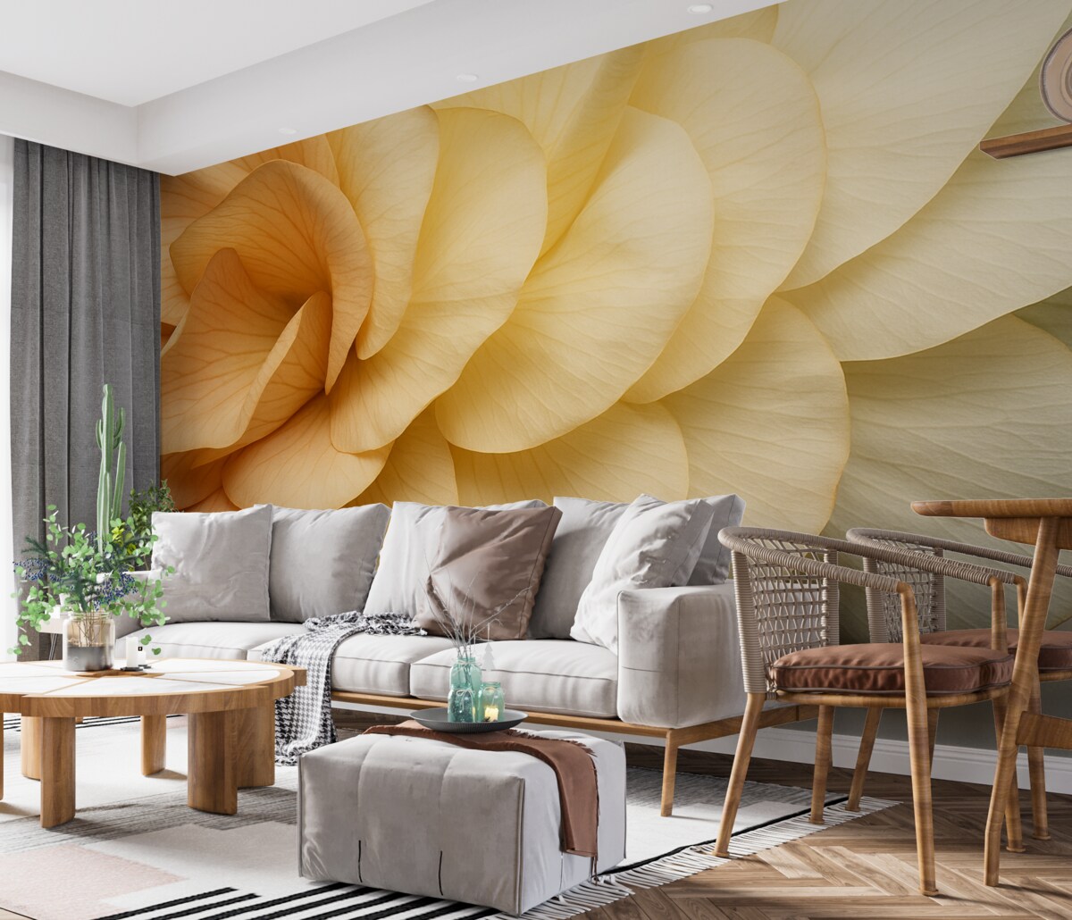 Fototapeta Płatki kwiatów maku.