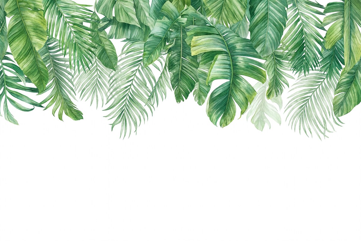 Fototapeta Liście tropikalne