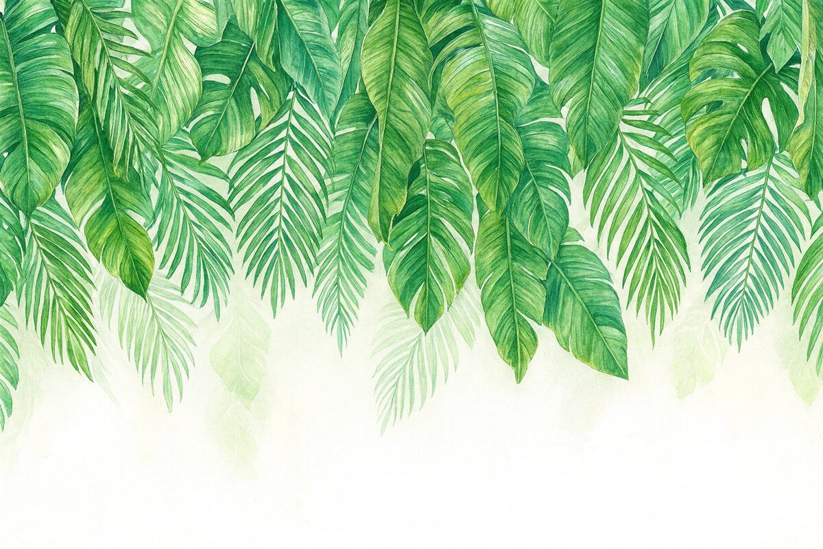 Fototapeta Zielone liście tropikalne.