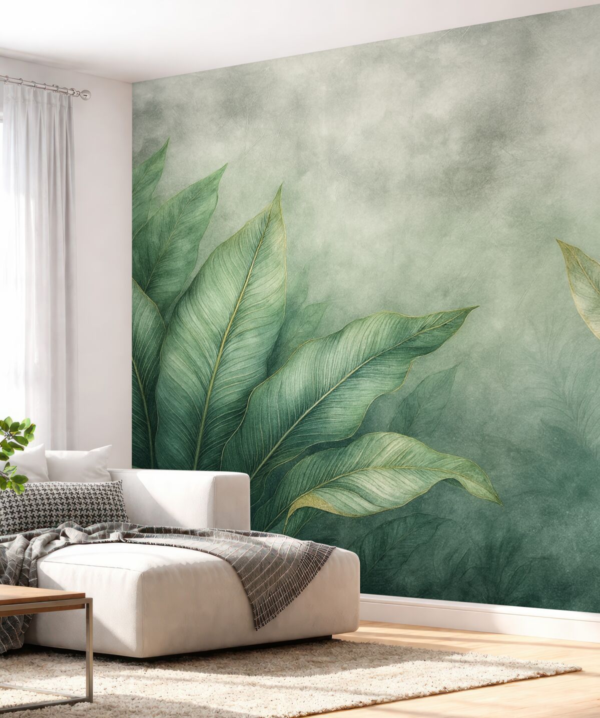 Fototapeta Liście drzewa bananowego.