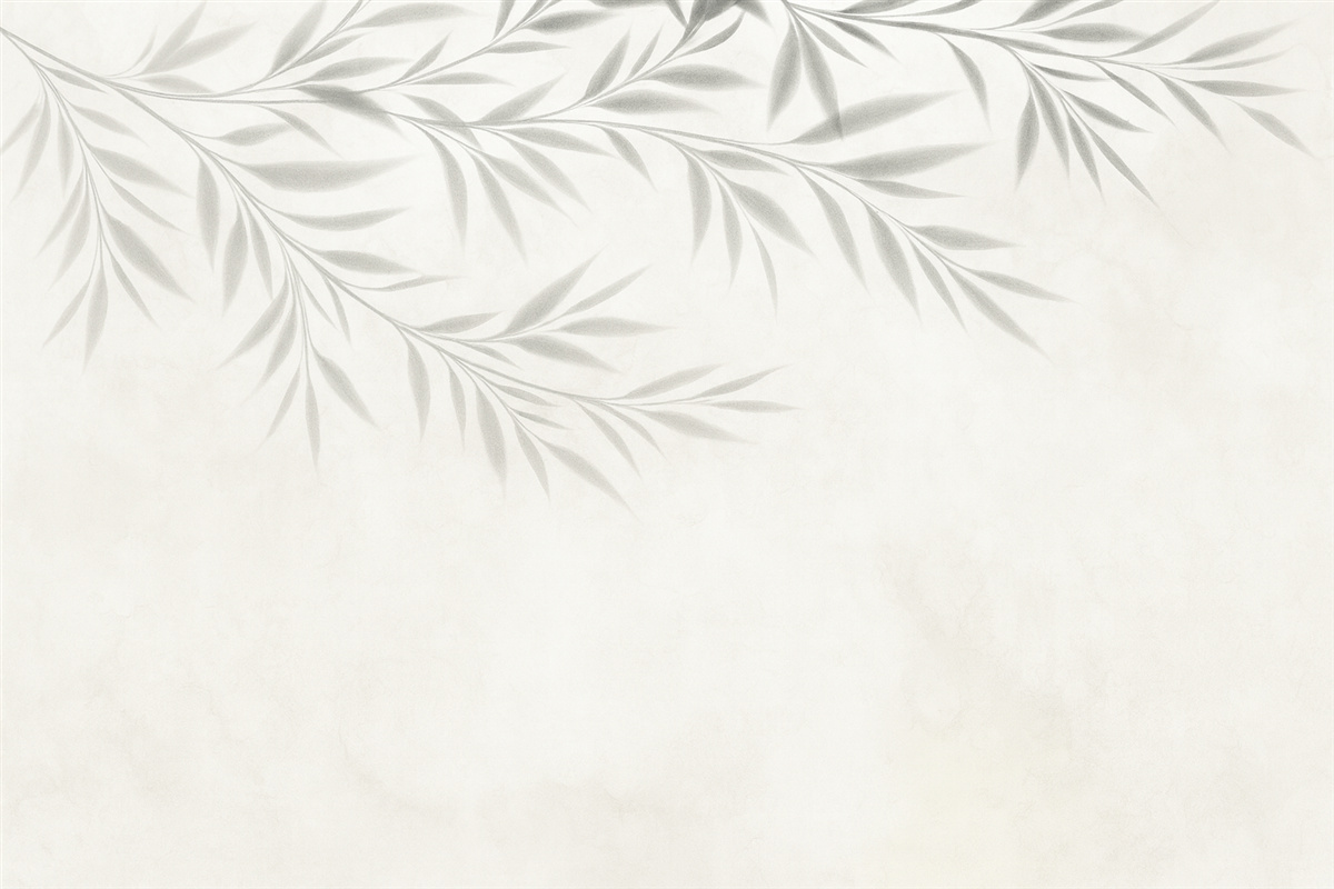 Fototapeta Cień konarów i liści na oliwkowym tle.