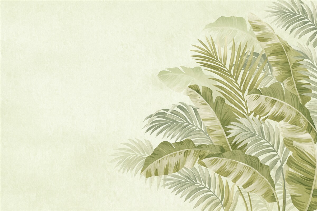 Fototapeta Liście palmy w kolorze zielonym.