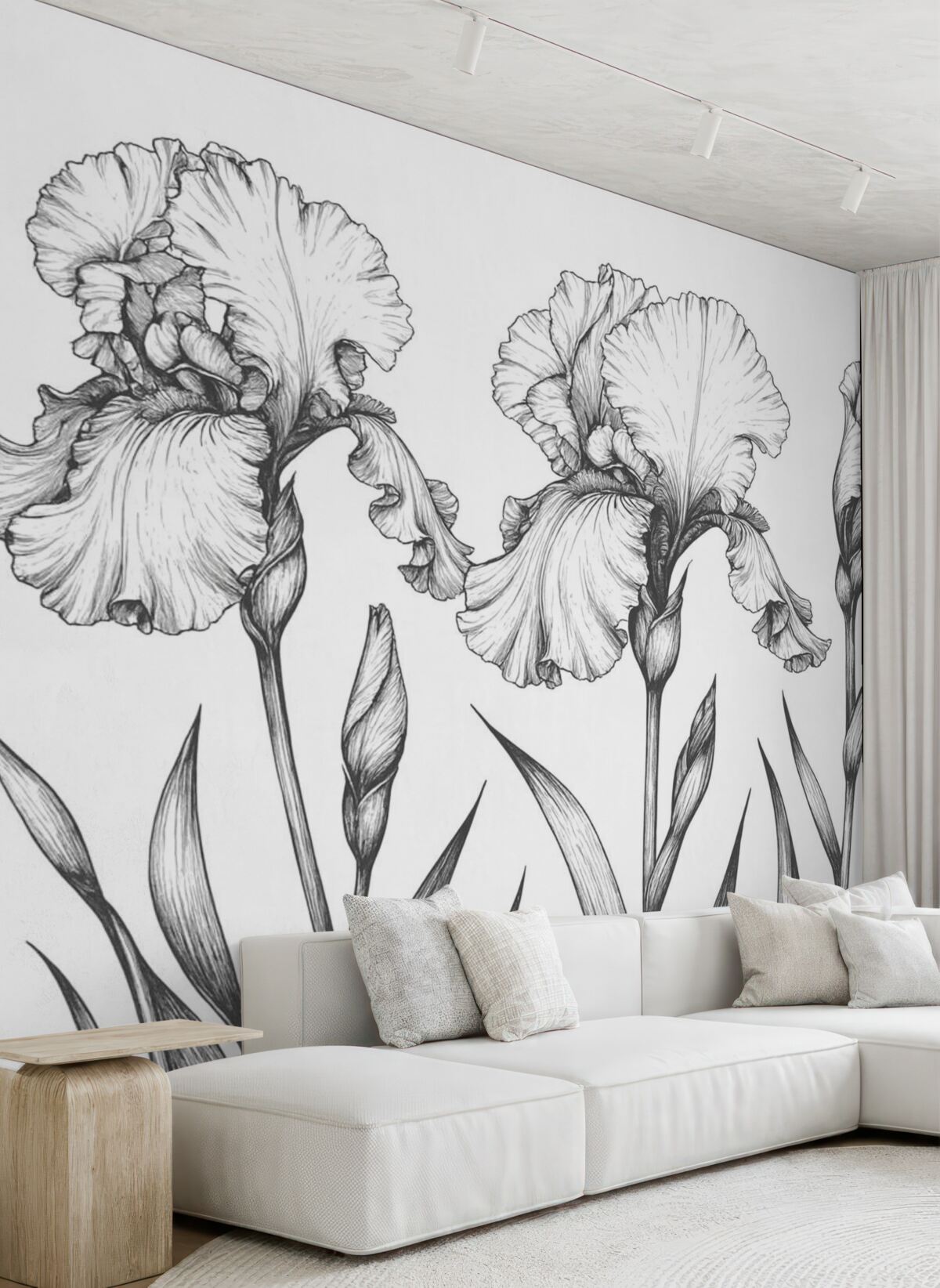 Fototapeta Wizualne przedstawienia tęczówek.