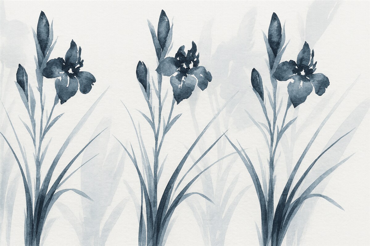 Fototapeta rozległe niebieskie irysy