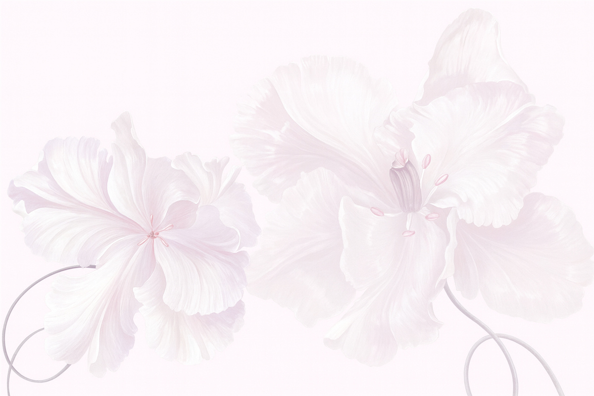 Fototapeta spore różowe kwiaty