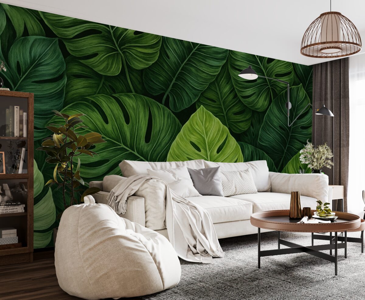 Fototapeta Tropikalne liście monstery w przeróżnych tonach zieleni.