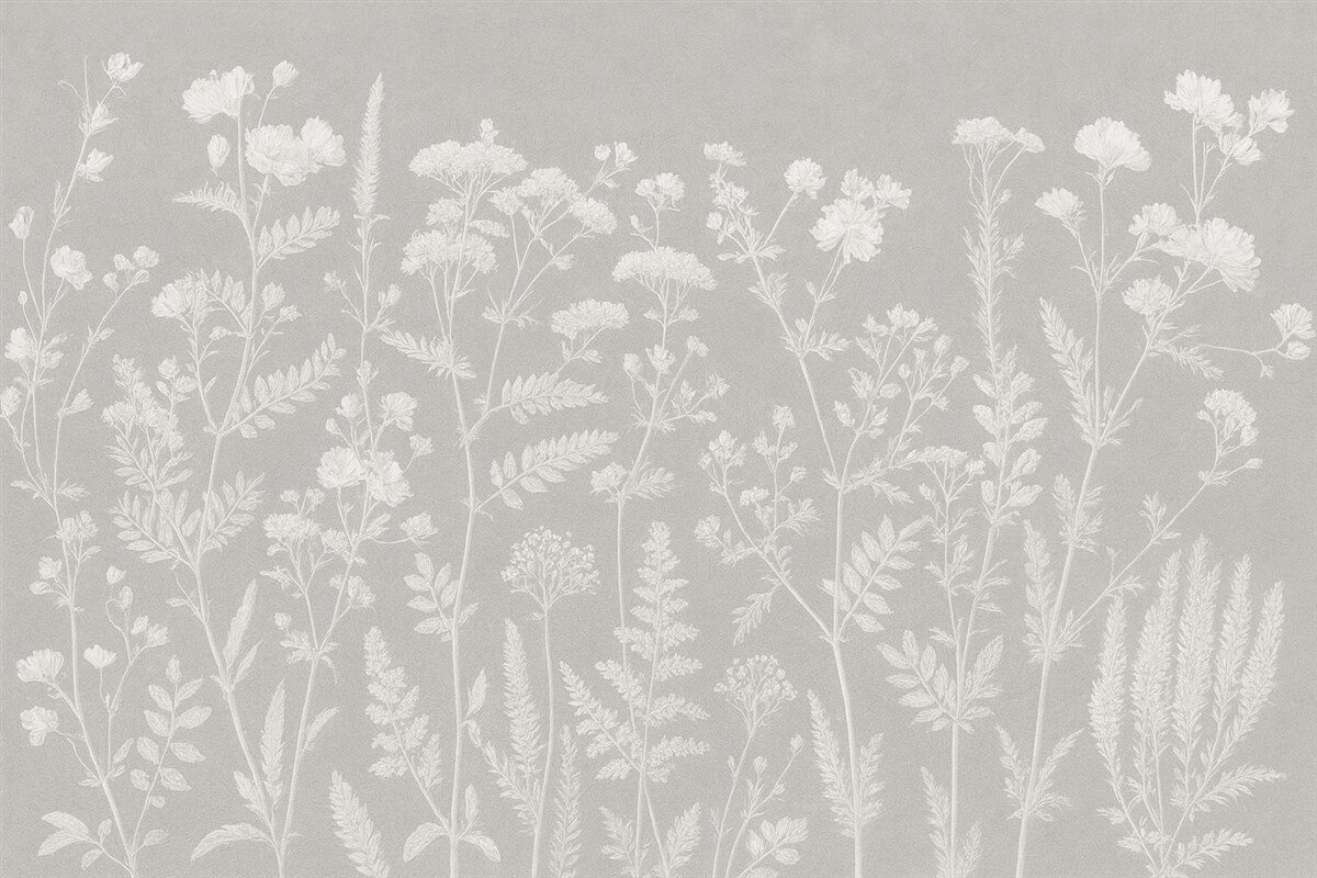 Fototapeta Rośliny o minimalistycznym stylu