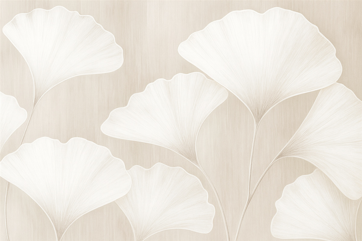 Fototapeta Liście ginkgo biloba.