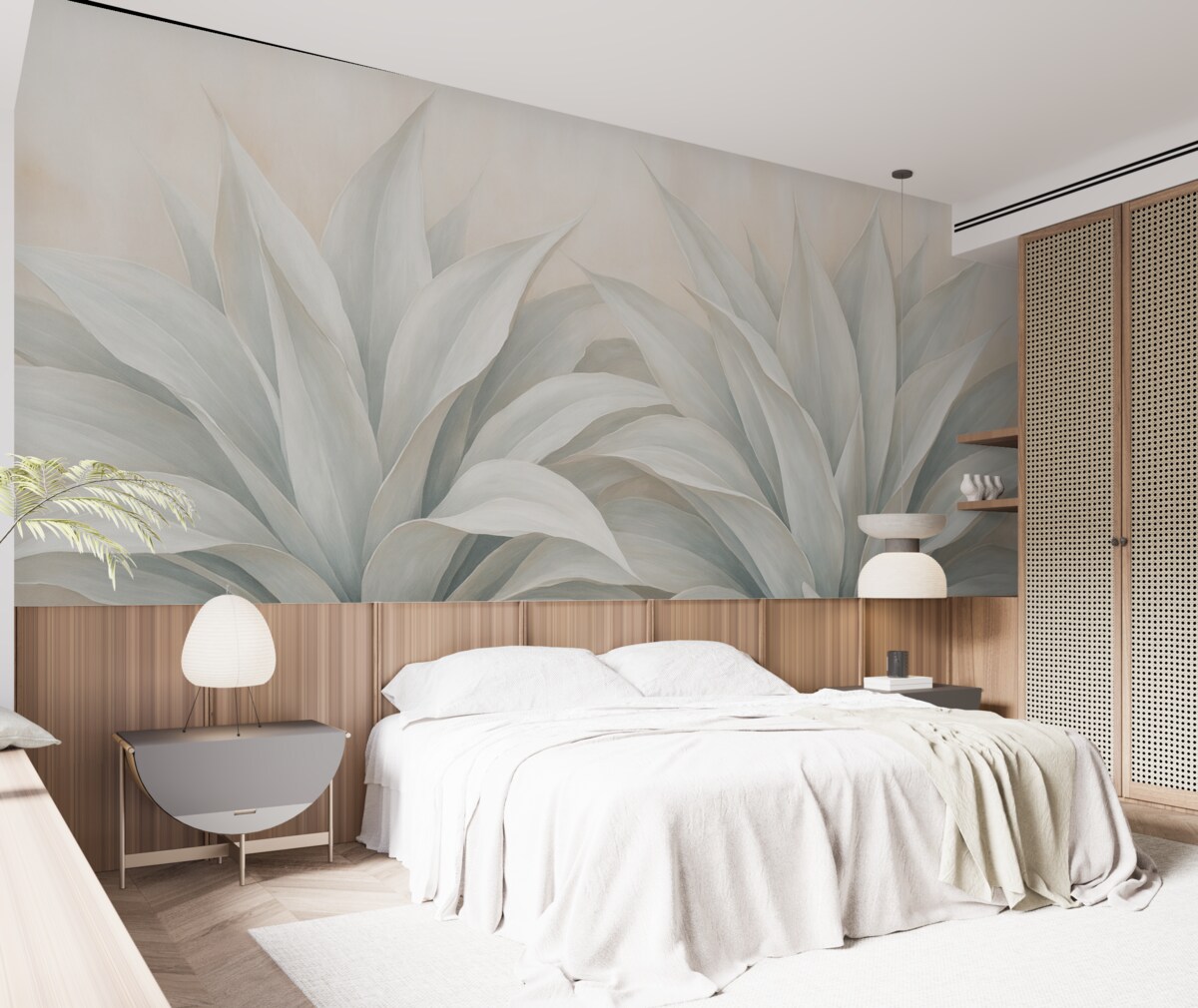 Fototapeta Sukulenty