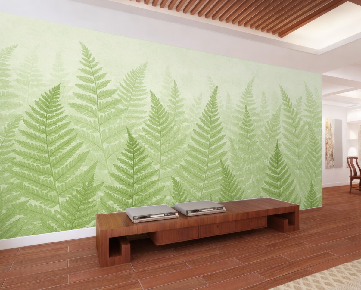 Fototapeta Tendencja roślin paproci.