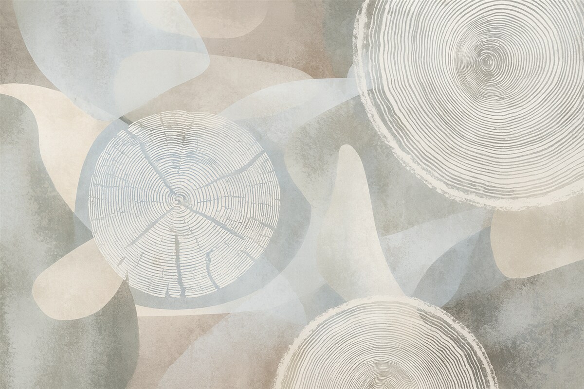 Fototapeta nowoczesne abstrakcyjne formy oraz roczne pierścienie drzew