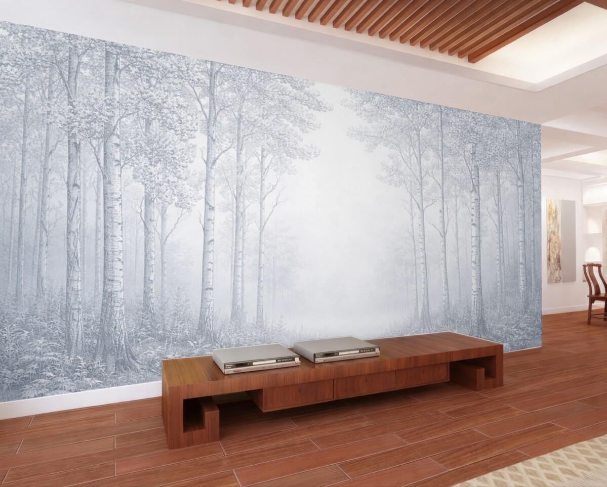 Fototapeta Brzozowy las, prostota, przyroda, niebieska gama barw.