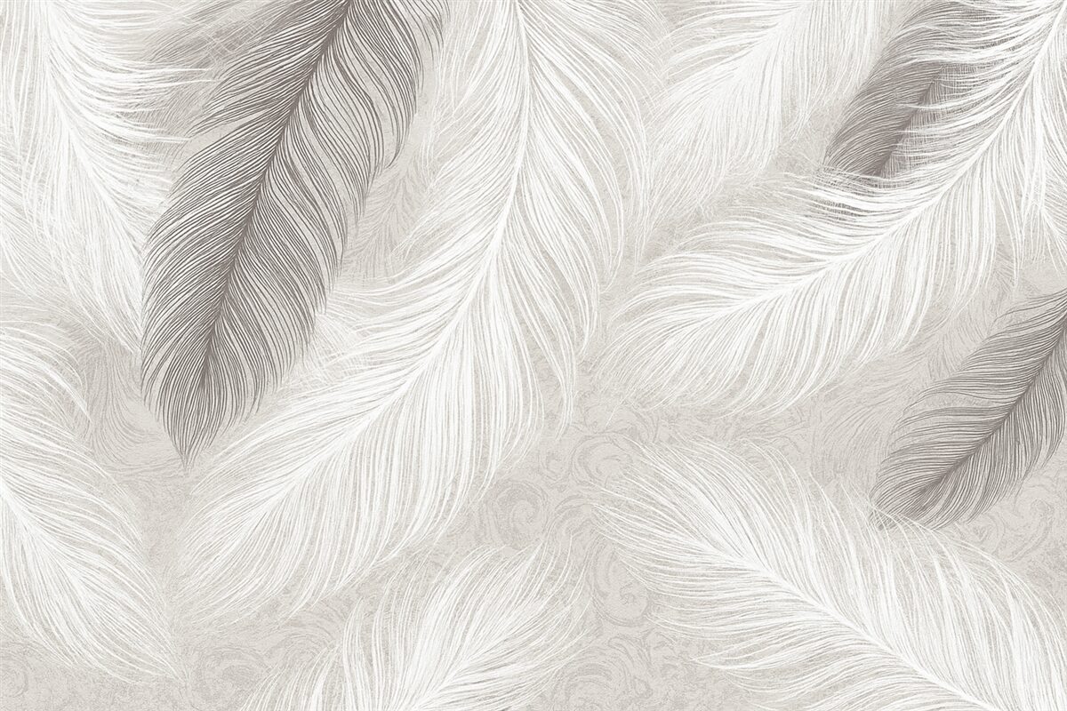 Fototapeta Lekkie piórka