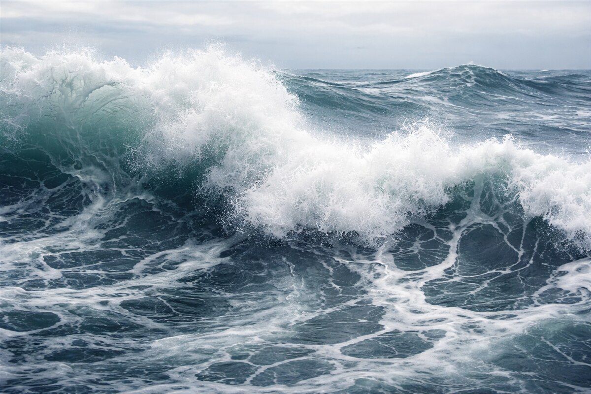 Fototapeta Proszę podać zdania, które chcesz, abym sparafrazował. Bez konkretnego tekstu nie mogę pomóc.