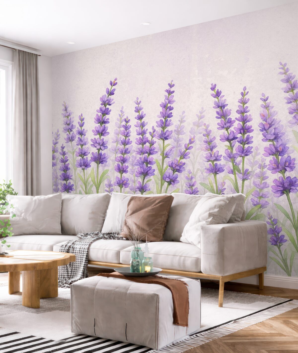 Fototapeta Kwiaty lawendy na tle betonu.