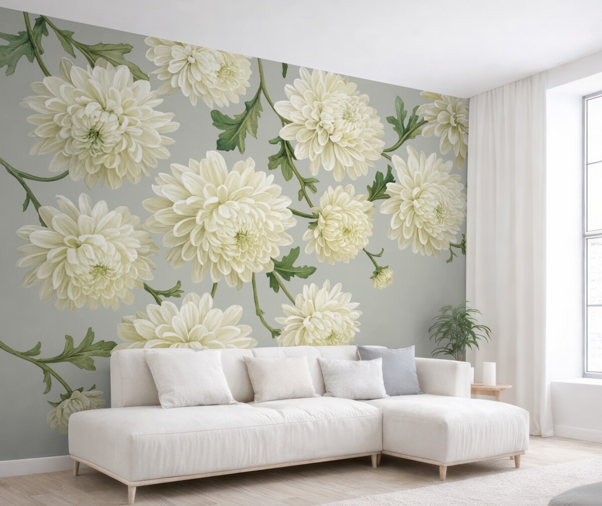 Fototapeta Białe kwiaty chryzantem z zielonymi liśćmi na jasnoszarym tle.