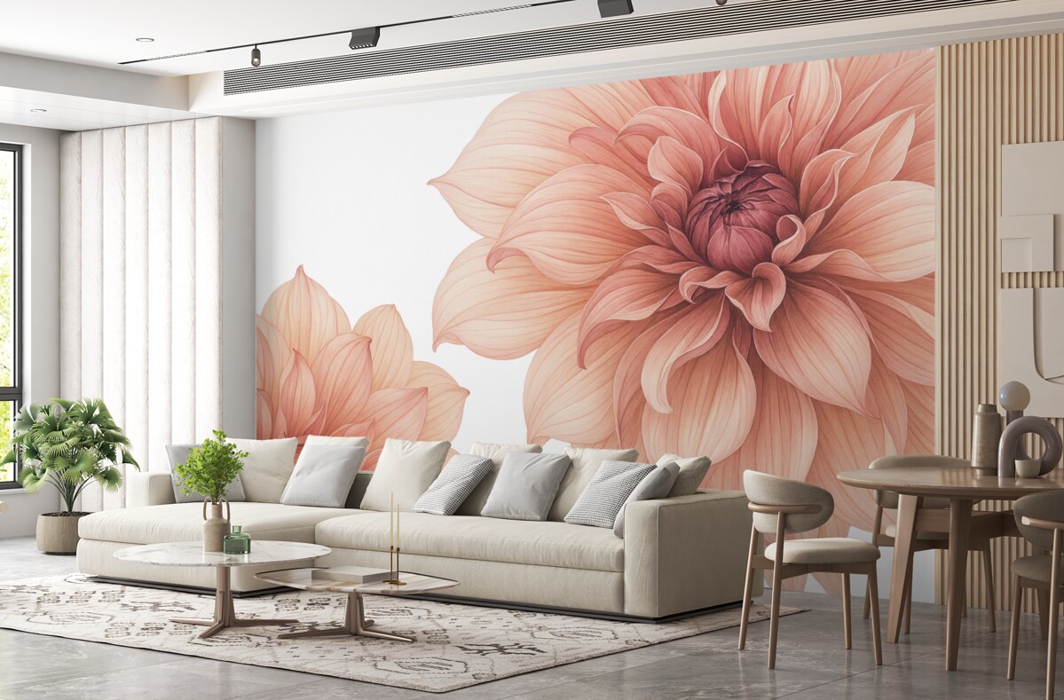 Fototapeta Zbliżenie na kilka dużych, głęboko czerwonych kwiatów dalii o gładkich, subtelnych płatkach na jasnym tle.