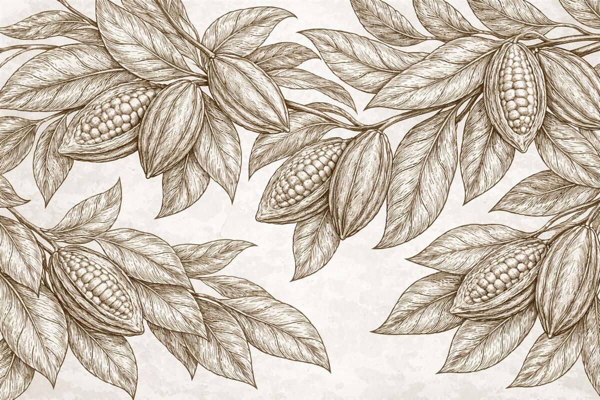 Fototapeta Dokładny rysunek liści kakaowca oraz liści w naturalnym, organicznym druku.