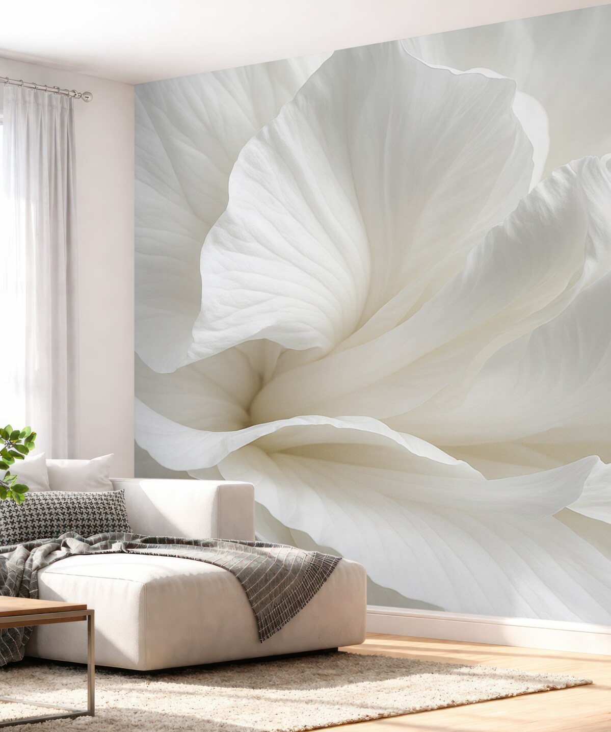 Fototapeta Abstrakcyjny minimalistyczny wzór subtelnego białego kwiatu z gładkimi, aksamitnymi płatkami.