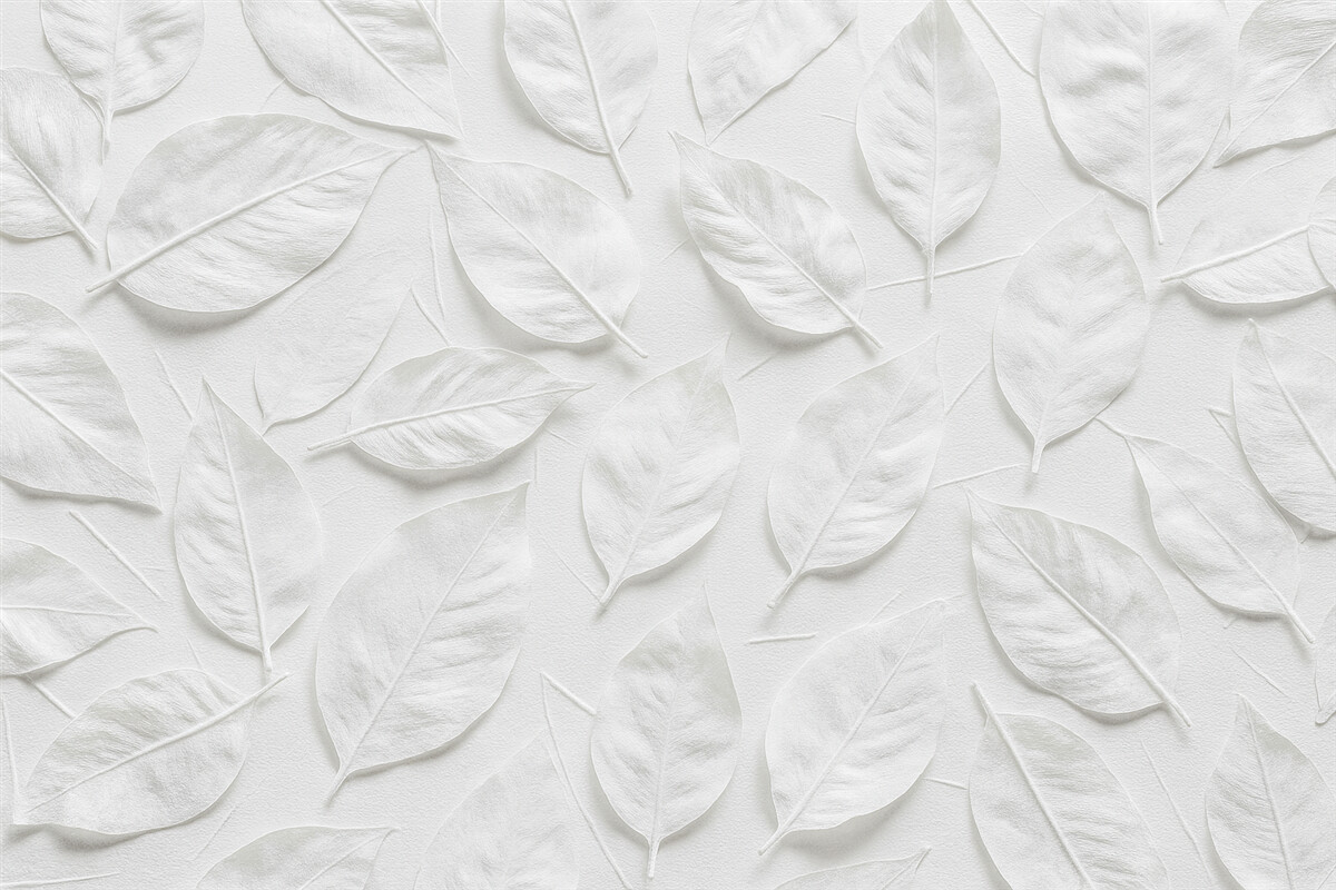 Fototapeta Biała kwiatowa abstrakcja roślin.