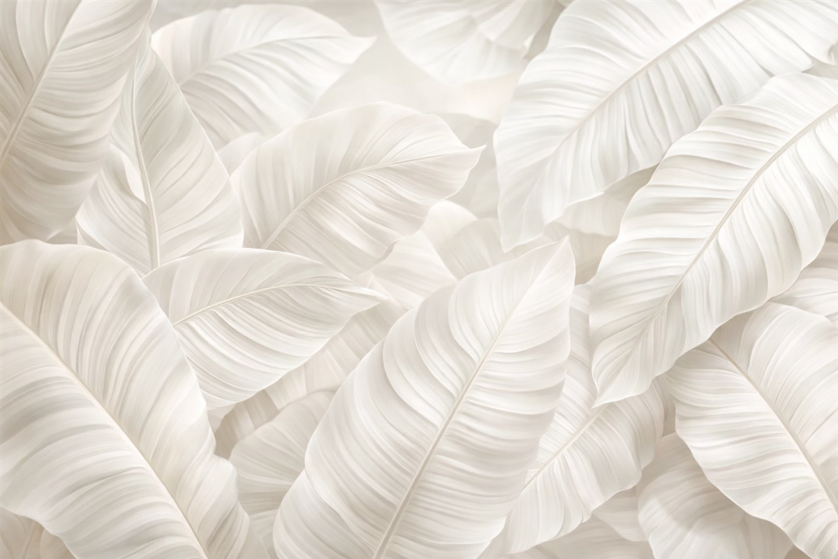 Fototapeta Wielkie, subtelne liście.