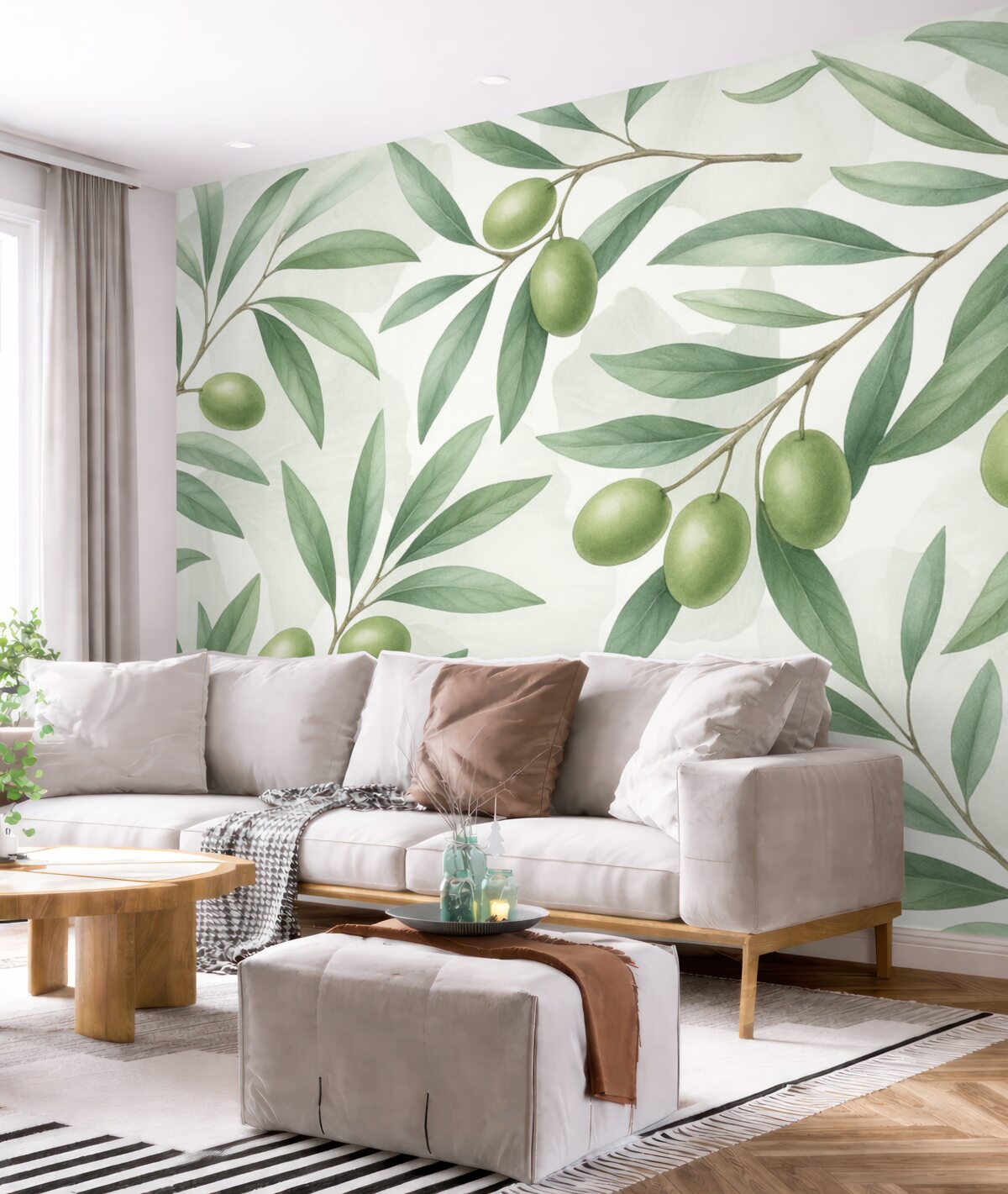 Fototapeta Gałązki oliwy z zielonymi liśćmi i owocami na jasnym tle.