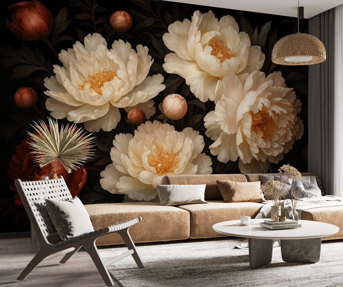 Fototapeta Duże białe piwonie z czerwonymi pączkami na ciemnym tle.