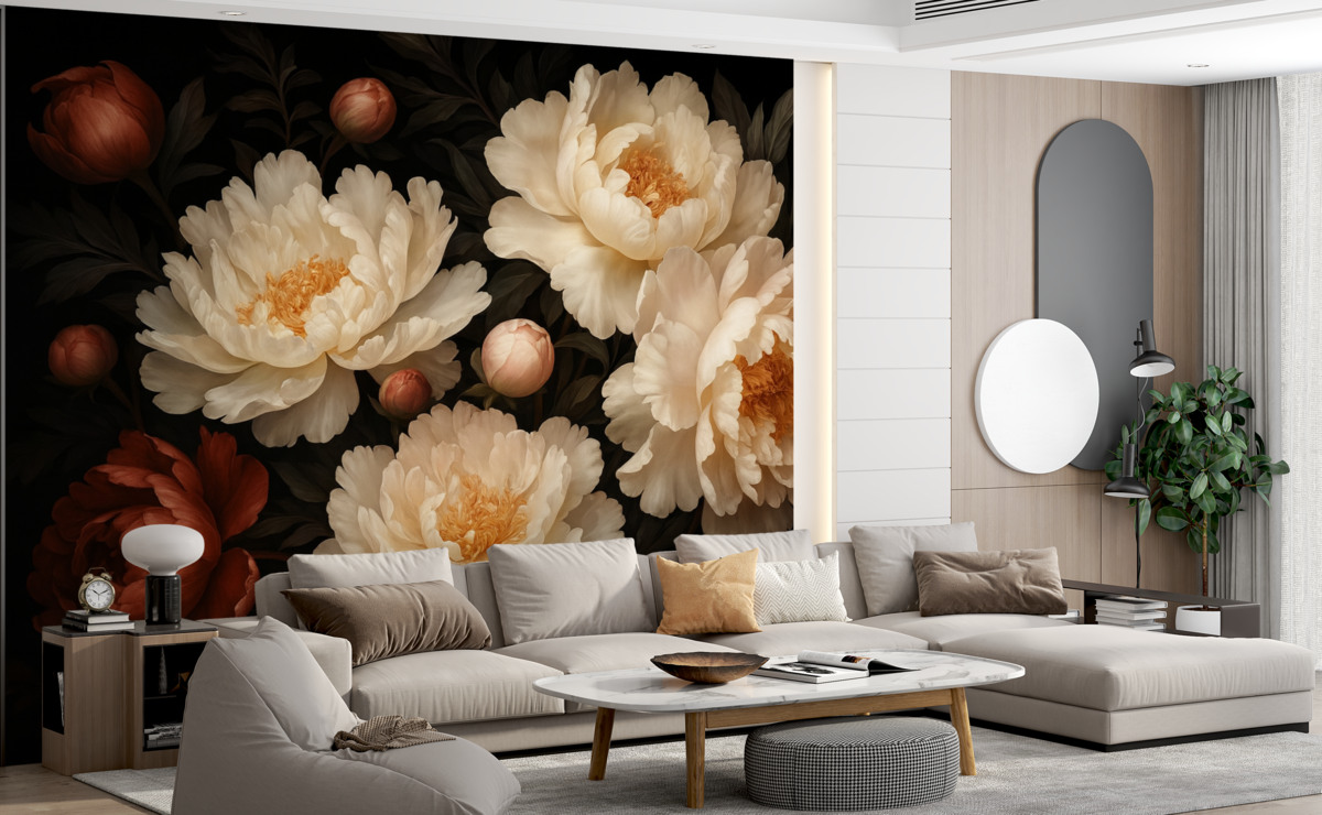 Fototapeta Duże białe piwonie z czerwonymi pączkami na ciemnym tle.